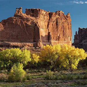 USA, Utah. Autumn cottonwoods and the Three Gossips at sunset, Arches National Park