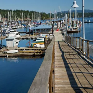 WA, San Juan Island, Friday Harbor, Port of Friday Harbor, marina with boats