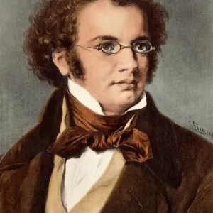 Franz Schubert Print, Digitally Colored Portrait Franz Schubert Print, Digitally Colored Portrait