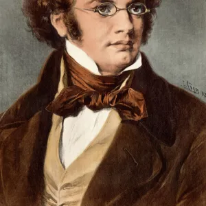 Composers Framed Print Collection: Franz Schubert