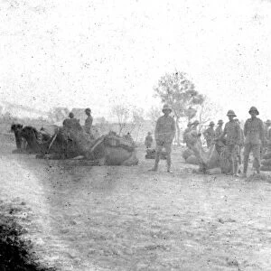 RSR 2 / 6th Battalion, Ready for loading, Burhan 1917