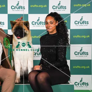 Andrea Ferron Torres and Jose Luis Arrabal Sanchez from Spain, with Rumba, an Akita, which was the Best of Breed winner today (Sunday 12.03.23), the last day of Crufts 2023, at the NEC Birmingham