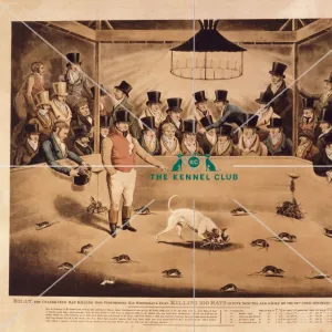 Animal Jigsaw Puzzles, Prints & Wall Art: Mammals