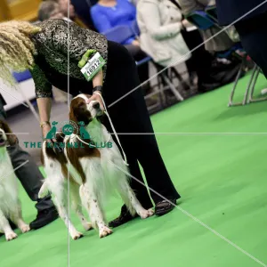 Crufts 2018