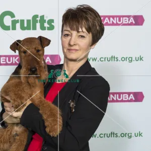 Crufts 2019 - Best of Breed / Terrier