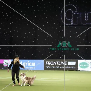 Crufts 2019 - Day Two, NEC, UK - 8 Mar 2019