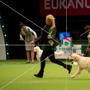 Gundog Group