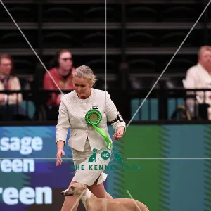 Heidi Bekkvang from Norway with Jasper, a Whippet, which was the Best of Breed winner today (Saturday 11.03.23), the third day of Crufts 2023, at the NEC Birmingham