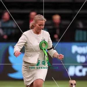 Heidi Bekkvang from Norway with Jasper, a Whippet, which was the Best of Breed winner today (Saturday 11.03.23), the third day of Crufts 2023, at the NEC Birmingham
