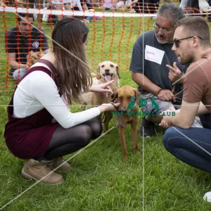 Scruffts Essex Hylands May 26, 2019