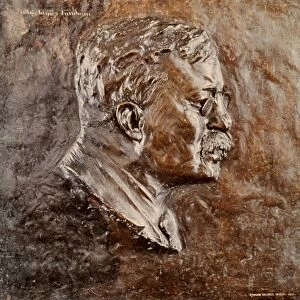 (1858-1919). 26th President of the United States. Bronze bas-relief, c1906, by Sally James Farnham