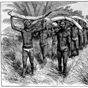AFRICA: IVORY TRADE. African porters transporting elephant tusks from the interior to the coast. Wood engraving, c1875