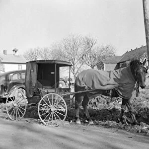 AMISH: CARRIAGE, 1942. An Amish horse-drawn carriage in Lancaster, Pennslyvania