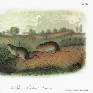John James Audubon