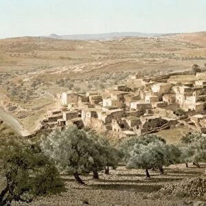 BETHANY, c1895. View of Bethany, near Jerusalem. Photochrome, c1895