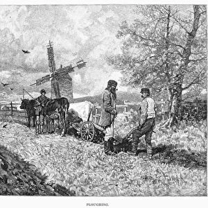 CANADA: FARMING, 1883. Farmers plowing a field in rural Canada. Engraving, 1883