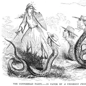 COPPERHEAD CARTOON, 1863. This Northern newspaper cartoon of 1863 shows the Union threatened by politcial serpents wearing the hats of Midwest Democratic congressmen