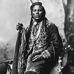 CROW SCOUT, 1883. Curley, a Crow Native American scout. Photographed by F. Jay Haynes