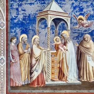 Artists Collection: Giotto