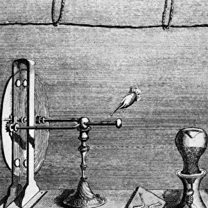 GALVANI: GALVANISM. Luigi Galvanis experiment applying electricity upon severed frogs legs, which would palpitate in a demonstration of galvanism. Line engraving, late 18th century