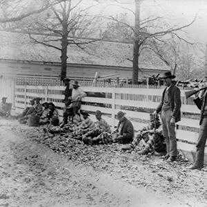 GEORGIA: CHAIN GANG. Chain gang prisoners and guards rest against a fence, Thomasville, Georgia
