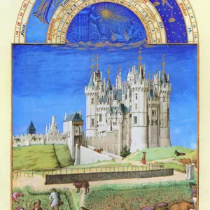 The grape harvest at the Chateau de Saumur (Loire Valley, France) in September. Illumination from the 15th century manuscript of the Tres Riches Heures of Jean, Duke of Berry