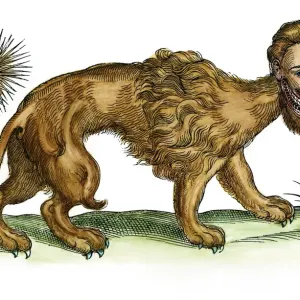 Handcolored Woodcut Print of a Mythical Manticore Handcolored Woodcut Print of a Mythical Manticore