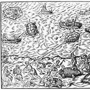 HUNTING TURTLES, 1575. Tucano Indians in Brazil hunting turtles