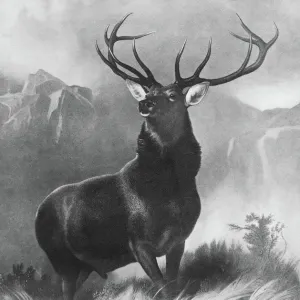 LANDSEER: STAG, 1851. Monarch of the Glen. After the painting by Edwin Landseer, 1851