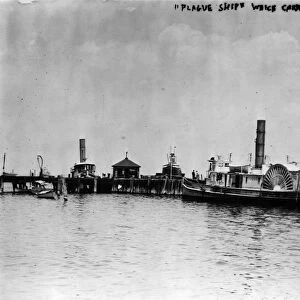 NEW YORK: HOFFMAN ISLAND. A plague ship carrying immigrants with infectious diseases