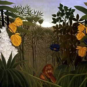 Henri Rousseau Collection: Jungle theme art