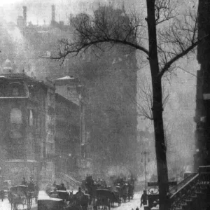 S Collection: Alfred Stieglitz