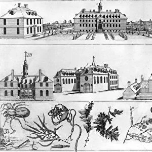 VIRGINIA: WILLIAMSBURG. Various buildings in Williamsburg, Virginia, including the College of William and Mary (top middle), the Capitol building (mid left), the Governors palace (mid right), as well as various flora and fauna of the region. Line engraving, American, c1740