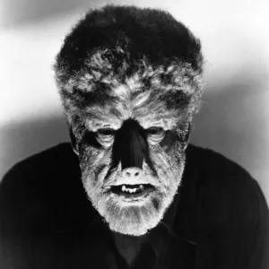 Posters Framed Art Print Collection: Halloween