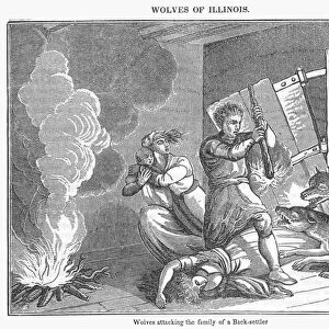 WOLVES ATTACKING. Wolves attacking the family of a Back-settler in Illinois: wood engraving, 19th century