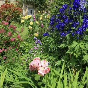 Cotswold Cottage Garden