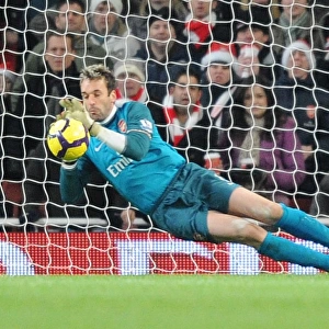 Arsenal goalkeeper Manuel Almunia saves the Hull penalty taken by Geovanni