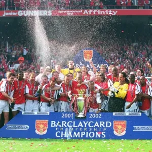 Poster Arsenal Gunners 2002-2003 - Freddie Ljungberg (Suède) - 29x45 Cm
