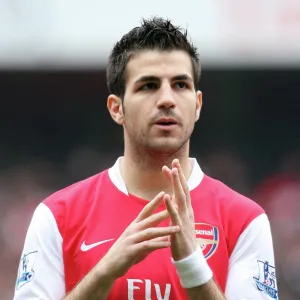 Cesc Fabregas (Arsenal)