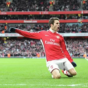Cesc Fabregas celebrates scoring the 1st Arsenal goal. Arsenal 3: 0 Aston Villa