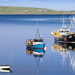 Scotland Collection: Orkney