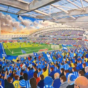 Amex Stadium Fine Art - Brighton & Hove Albion Football Club