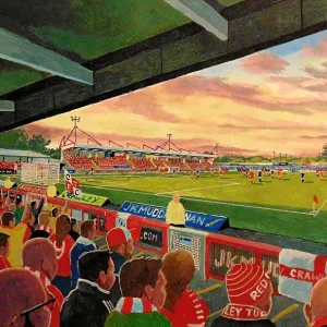 Soccer Fine Art Print Collection: Crawley Town