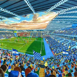 Madejski Stadium - Reading FC