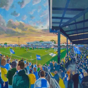 Memorial Ground Stadium Fine Art - Bristol Rovers Football Club