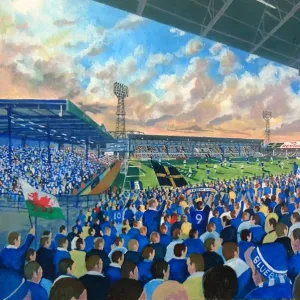 Soccer Collection: Cardiff City
