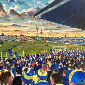 Soccer Collection: AFC Wimbledon