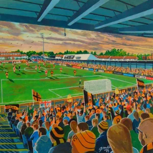 Underhill Stadium Fine Art - Barnet Football Club