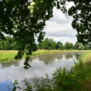 CJ6 5897 Beside the river