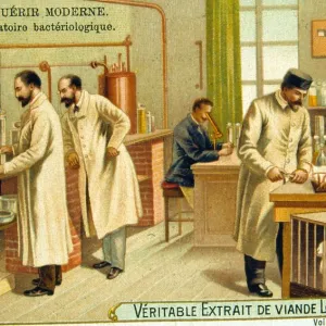 January Gallery: 1 Jan 1900